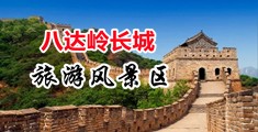 我要看逼片\中国北京-八达岭长城旅游风景区